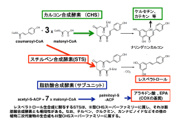 カルコン合成酵素 （CHS） スチルベン合成酵素(STS) 脂肪酸合成酵素