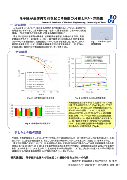 陽子線が生体内で引き起こす損傷の分布とDNAへの効果