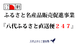 01-1 ふるさと名産品販売促進事業0715
