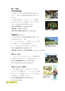 ハーブ体験 北見薄荷蒸溜館 北見産ハッカを使って取卸油を採る実演を