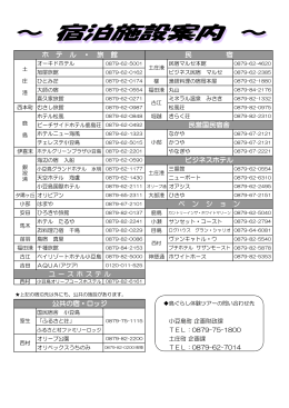 ビジネスホテル 民営国民宿舎 公共の宿・ロッジ ユ ー ス ホ ス