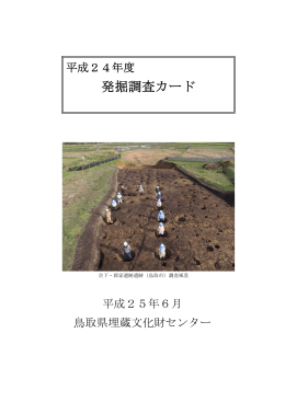 発掘調査カード