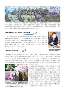 観 絶 観葉植物か 絶対的な からコチ 品質の差 ョウラン 差 ンへの転換 換
