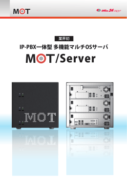 Server - MOT/PBX