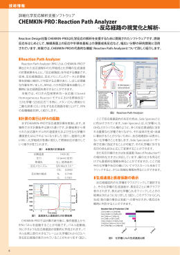 CHEMKIN-PRO：Reaction Path Analyzer -反応経路の視覚化と解析-