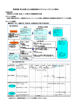 事業承継・再生支援における経営改善のアウトプット＝アドバイス事例＝