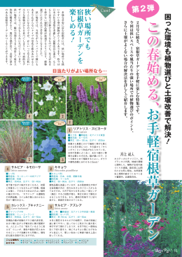 この春始める、 お 手 軽 宿 根 草 ガ ー デ ンお手軽宿根草ガーデン