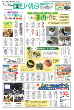 多肉植物アイデアいろいろ もっと遊ぶ