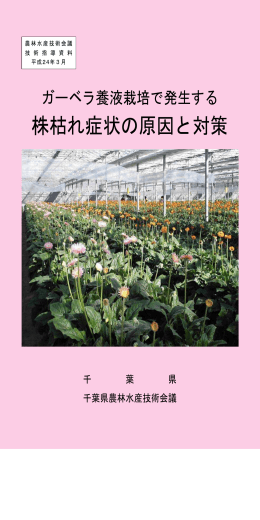 ガーベラ養液栽培で発生する株枯れ症状の原因と対策（PDF
