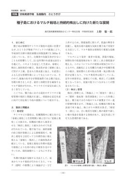 種子島におけるマルチ栽培と持続的株出しに向けた新たな展開