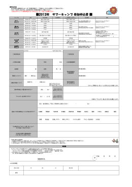 2013年 サマーキャンプ 参加申込書