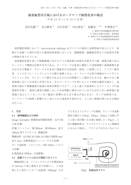 頭部血管内手術におけるロードマップ画質改善の検討
