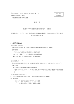 岡田 晋 計算科学によるグラファイト系材料の基礎