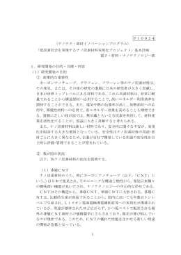 P10024 （ナノテク・部材イノベーションプログラム） 「低炭素社会を実現