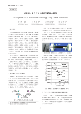 炭素膜によるガス分離精製技術の構築
