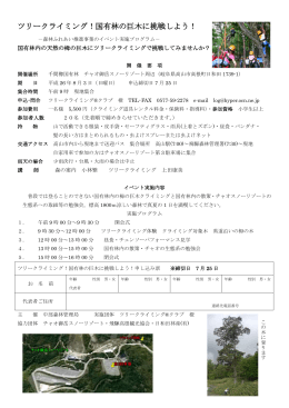 国有林の巨木に挑戦しよう！ - ツリークライミングジャパン