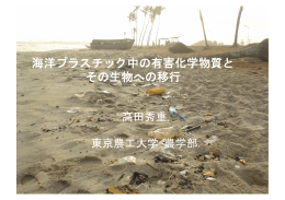 海洋プラスチックに含まれる化学物質とその海鳥への移行