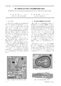 報告(口絵11～13)