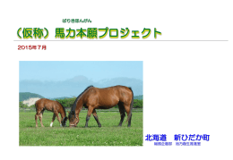 馬力本願プロジェクト（仮称）
