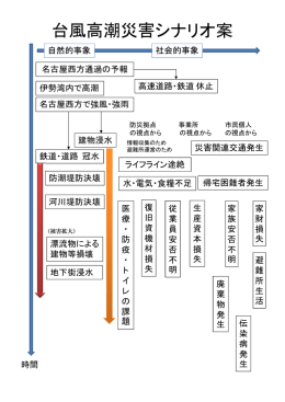 災害シナリオ修正案