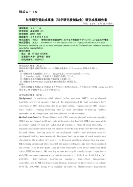 研究成果報告書