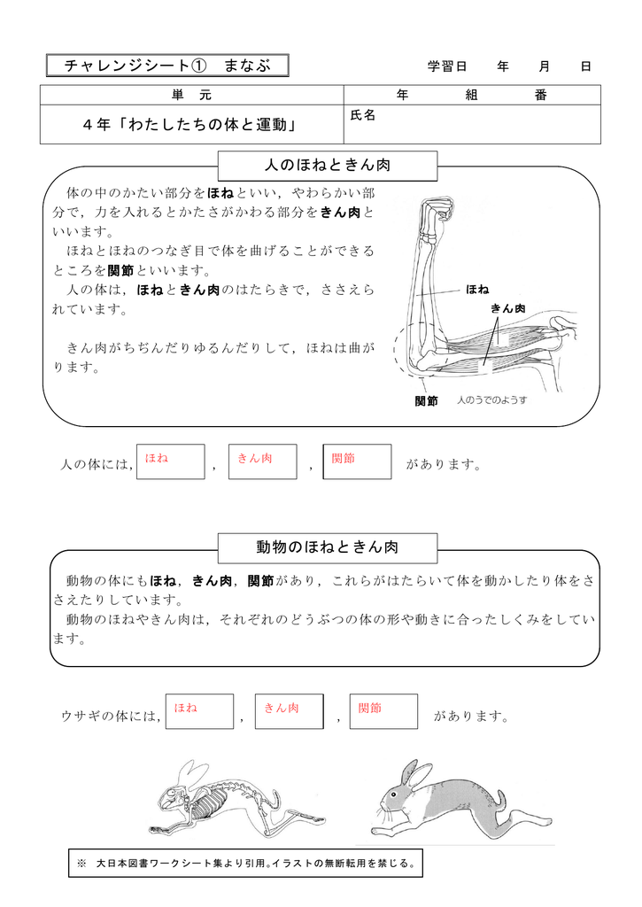 チャレンジシート まなぶ 4年 わたしたちの体と運動 人のほねときん肉