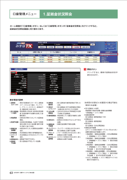 1.証拠金状況照会 - みずほFX