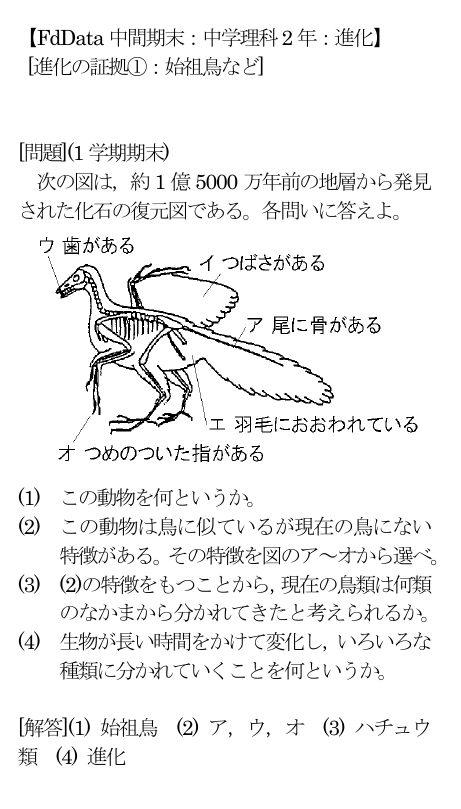 Fddata中間期末 中学理科2年 進化 進化の証拠 始祖鳥など