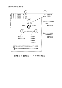 救いの法則（復帰原理） 信仰基台 実体基台 信仰基台 ＋ 実体基台