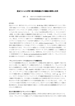 昆虫ウイルスが持つ宿主制御遺伝子の機能の解明と応用