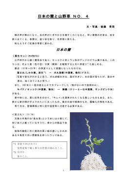 日本の蘭と山野草 NO．4