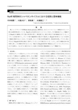 Hsp40 相同体のシャペロンサイクルにおける役割と固有機能