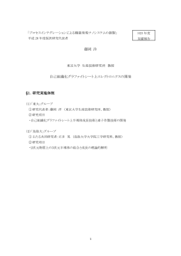 藤岡 洋 自己組織化グラファイトシート上