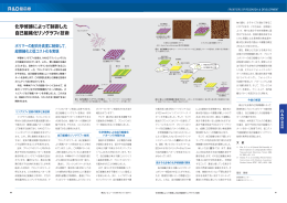 化学修飾によって制御した 自己組織化リソグラフィ技術