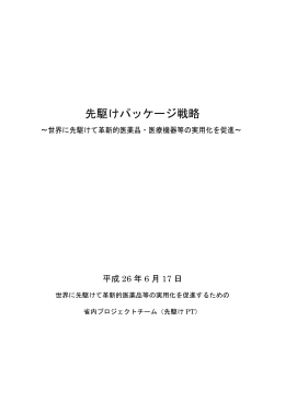 先駆けパッケージ戦略（本文）