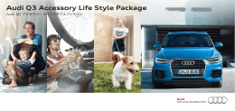 Audi Q3 Accessory Life Style Package