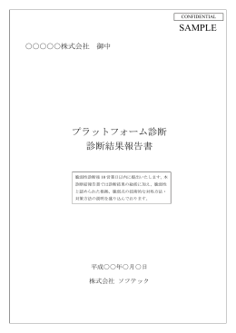 SAMPLE プラットフォーム診断 診断結果報告書