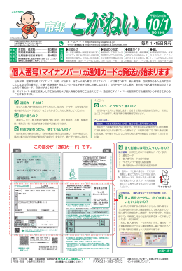 個人番号（マイナンバー） の通知カード 通知カードの発送が