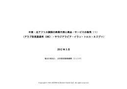 中東・北アフリカ諸国の商業代理と商品・サービスの