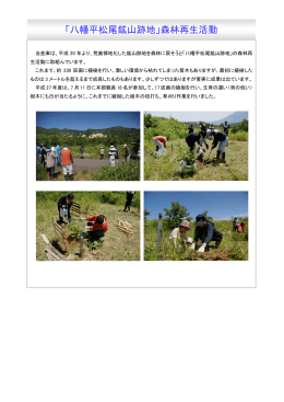 八幡平「松尾鉱山跡地」森林再生活動を実施しました