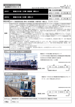 南海2000系 2次車 新塗装 4両セット