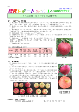 りんご品種「紅ロマン」の品種特性