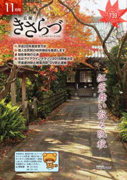 紅 葉 舞 い 散 る 晩 秋