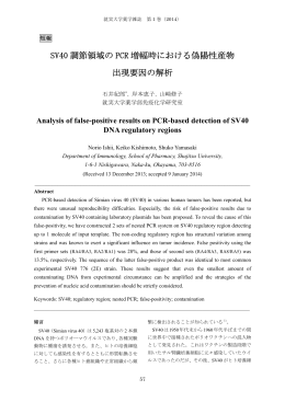 SV40 調節領域の PCR 増幅時における偽陽性産物 出現要因の解析