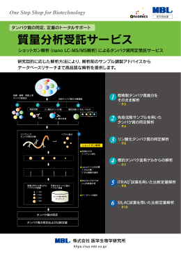 質量分析受託サービス