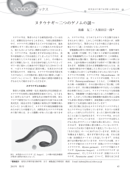 ヌタウナギ&sim;二つのゲノムの謎&sim;