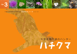 希少種保全学習教材 大空を舞う謎のハンター ハチクマ