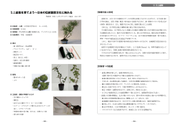 ミニ盆栽を育てよう～日本の伝統園芸文化に触れる
