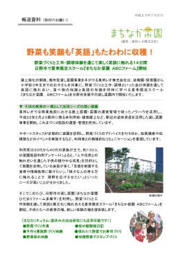 まちなか菜園 ABCファーム - 設計のための屋上緑化サポート情報