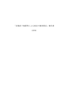 「首都直下地震等による東京の被害想定」報告書 正誤表 （PDF 219.4KB）